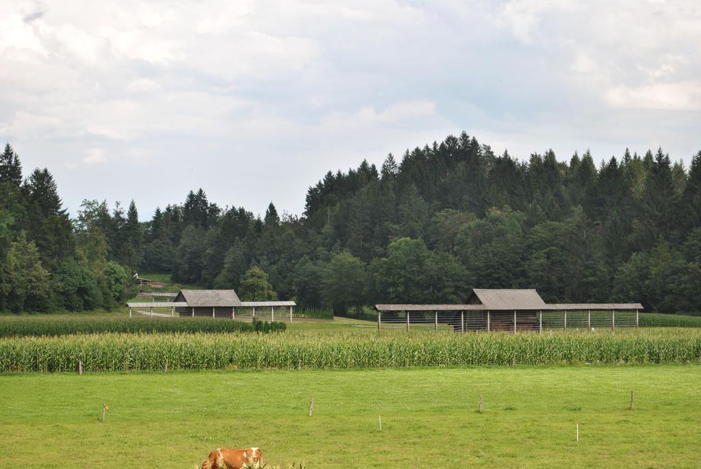 Farm Holidays Povsin Bled Eksteriør bilde