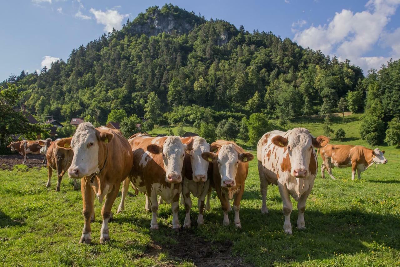 Farm Holidays Povsin Bled Eksteriør bilde